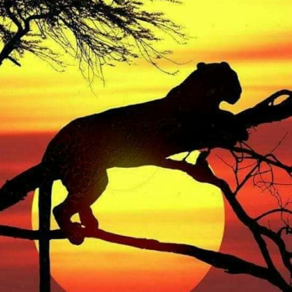 Meet your Posher, Louise marie